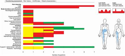 ICF-Based Assessment of Functioning in Daily Clinical Practice. A Promising Direction Toward Patient-Centred Care in Patients With Low Back Pain